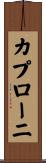 カプローニ Scroll