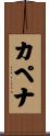 カペナ Scroll