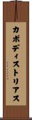 カポディストリアス Scroll