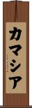 カマシア Scroll