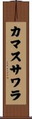 カマスサワラ Scroll