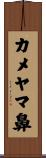カメヤマ鼻 Scroll