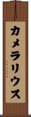 カメラリウス Scroll