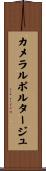 カメラルポルタージュ Scroll