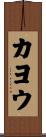 カヨウ Scroll