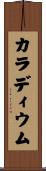 カラディウム Scroll