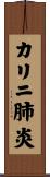 カリニ肺炎 Scroll