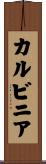 カルビニア Scroll