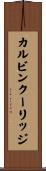 カルビンクーリッジ Scroll