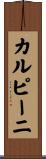 カルピーニ Scroll