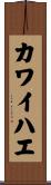 カワイハエ Scroll