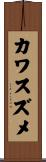 カワスズメ Scroll