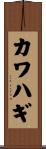 カワハギ Scroll