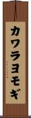 カワラヨモギ Scroll