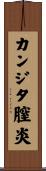 カンジタ膣炎 Scroll
