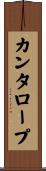 カンタロープ Scroll