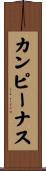 カンピーナス Scroll