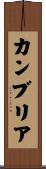 カンブリア Scroll