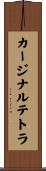 カージナルテトラ Scroll