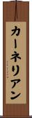 カーネリアン Scroll