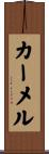Carmel Scroll