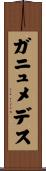 ガニュメデス Scroll
