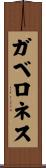 ガベロネス Scroll