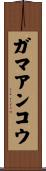 ガマアンコウ Scroll