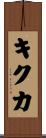 キクカ Scroll