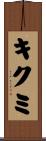 キクミ Scroll