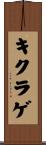 キクラゲ Scroll