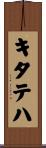 キタテハ Scroll