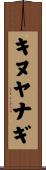 キヌヤナギ Scroll