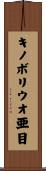 キノボリウオ亜目 Scroll