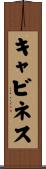 Caviness Scroll