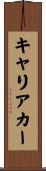 キャリアカー Scroll