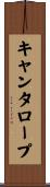 キャンタロープ Scroll