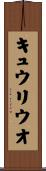 キュウリウオ Scroll