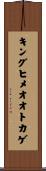 キングヒメオオトカゲ Scroll