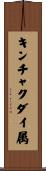 キンチャクダイ属 Scroll
