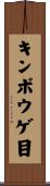 キンポウゲ目 Scroll