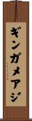 ギンガメアジ Scroll