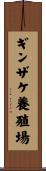 ギンザケ養殖場 Scroll