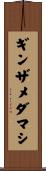 ギンザメダマシ Scroll