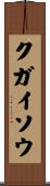 クガイソウ Scroll