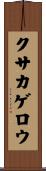 クサカゲロウ Scroll