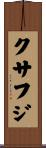 クサフジ Scroll