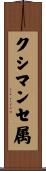 クシマンセ属 Scroll