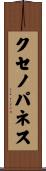 クセノパネス Scroll