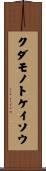 クダモノトケイソウ Scroll